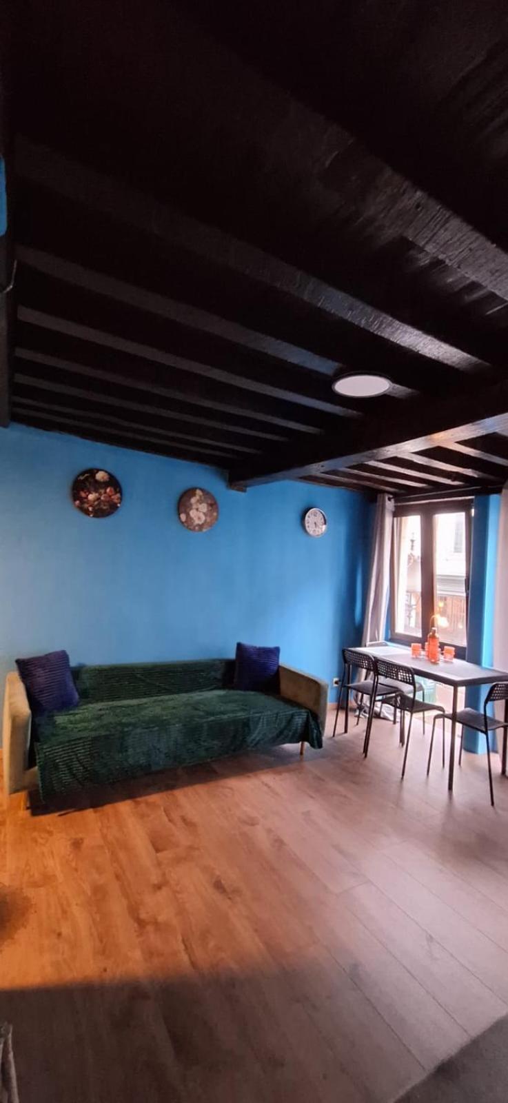 The 16Th Century 1Bd Ocean Apartment أنتويرب المظهر الخارجي الصورة